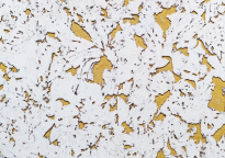 Muurkurk Yellow Snow 3mm - 2