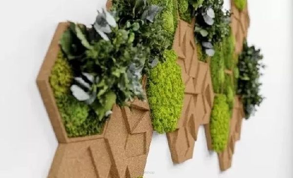 Groene muur – een geweldige trend in verticale tuinen