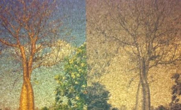 Bedrukken op natuurkurk – is dat mogelijk?